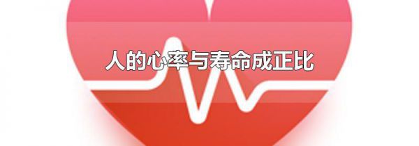 人的心率与寿命成正比