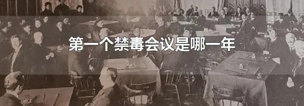 第一个禁毒会议是哪一年
