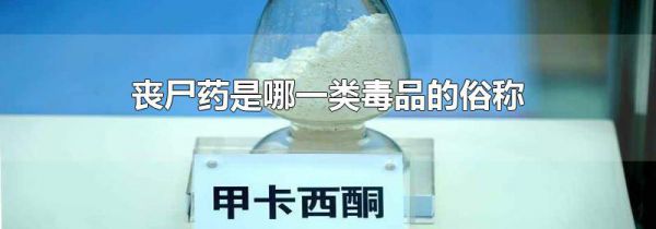 丧尸药是哪一类毒品的俗称