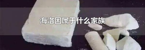 海洛因属于什么家族