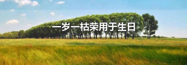 一岁一枯荣用于生日