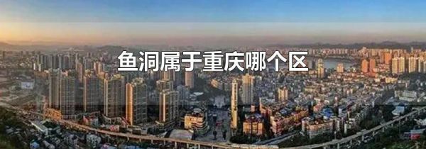 鱼洞属于重庆哪个区