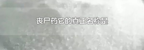 丧尸药它的真正名称是