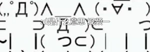 :d是什么意思 视频一