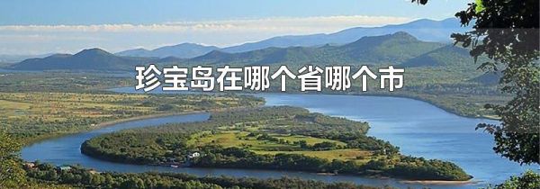 珍宝岛在哪个省哪个市