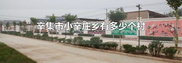 辛集市小辛庄乡有多少个村