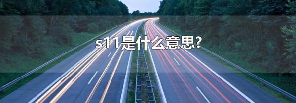 s11是什么意思?