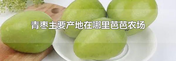 青枣主要产地在哪里芭芭农场