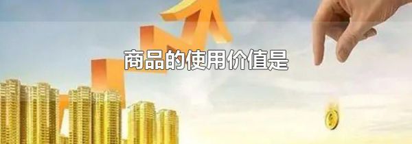 商品的使用价值是