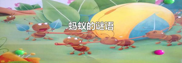 蚂蚁的谜语