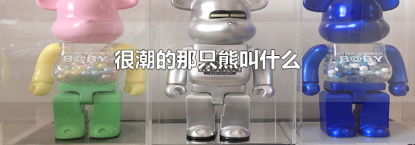 很潮的那只熊叫什么