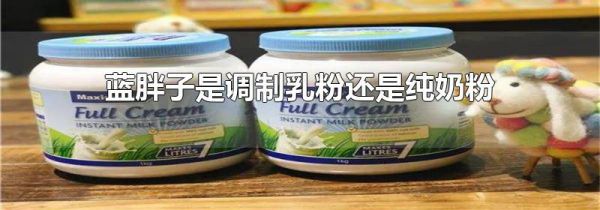 蓝胖子是调制乳粉还是纯奶粉