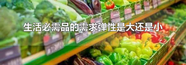 生活必需品的需求弹性是大还是小