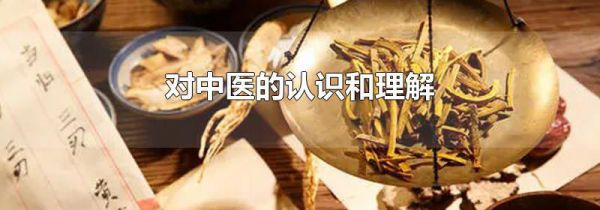 对中医的认识和理解