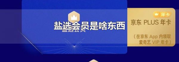 盐选会员是啥东西