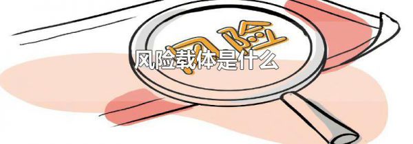 风险载体是什么