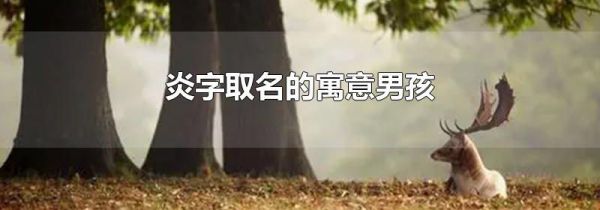 炎字取名的寓意男孩