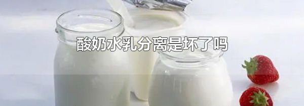 酸奶水乳分离是坏了吗