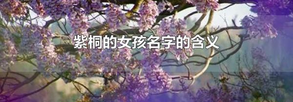 紫桐的女孩名字的含义