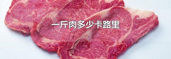 一斤肉多少卡路里