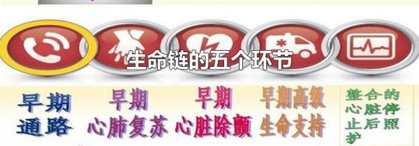 生命链的五个环节