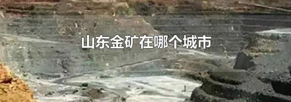 山东金矿在哪个城市