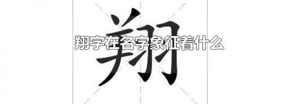 翔字在名字象征着什么