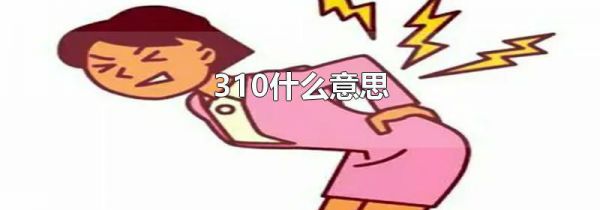 310什么意思