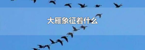 大雁象征着什么