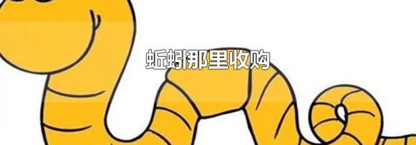 蚯蚓那里收购