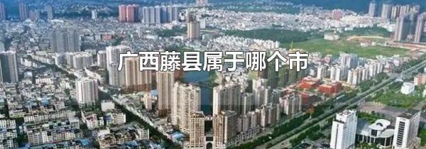 广西藤县属于哪个市