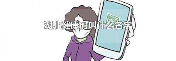 湖北健康码叫什么名字