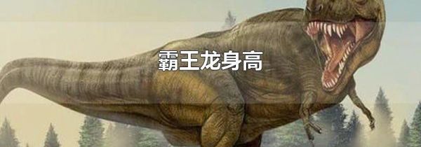霸王龙身高