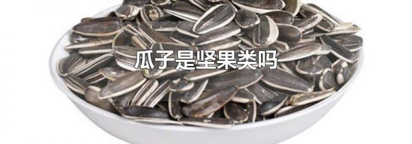 瓜子是坚果类吗