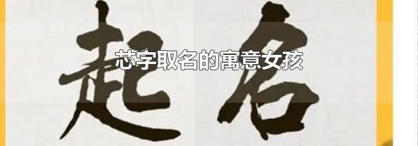 芯字取名的寓意女孩