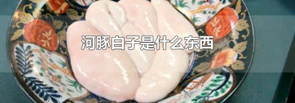 河豚白子是什么东西