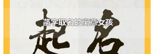 菡字取名的寓意女孩