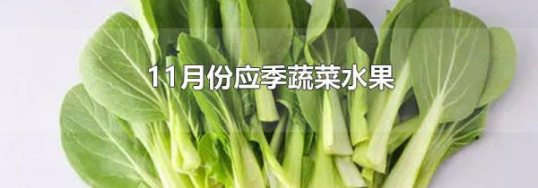 11月份应季蔬菜水果