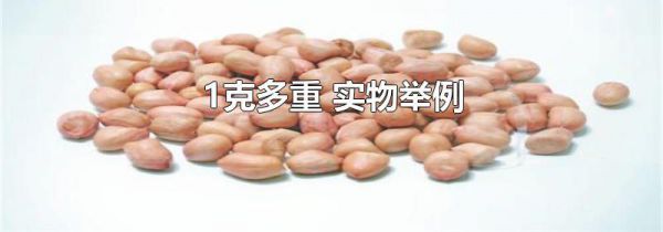 1克多重 实物举例