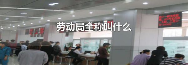 劳动局全称叫什么