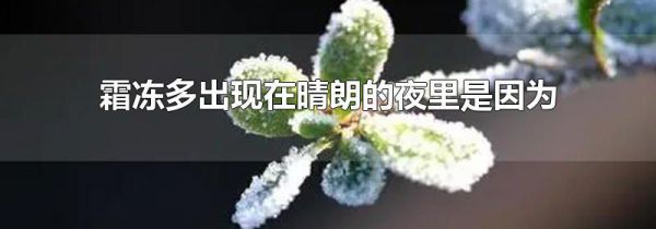 霜冻多出现在晴朗的夜里是因为