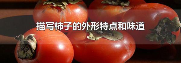 描写柿子的外形特点和味道