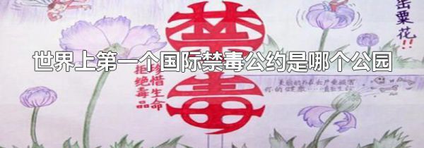 世界上第一个国际禁毒公约是哪个公园