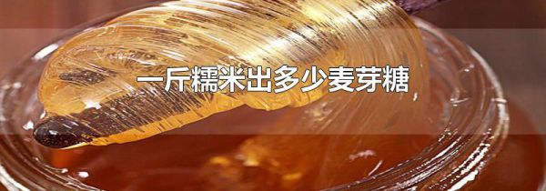 一斤糯米出多少麦芽糖