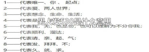 男人发530是什么意思