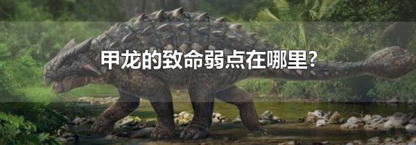 甲龙的致命弱点在哪里?