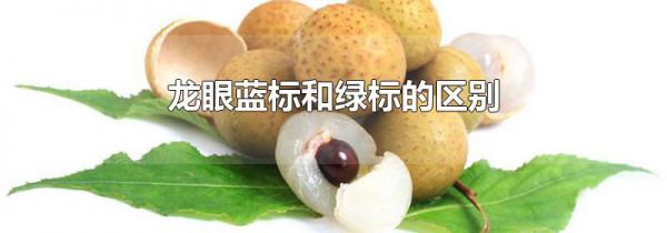 龙眼蓝标和绿标的区别