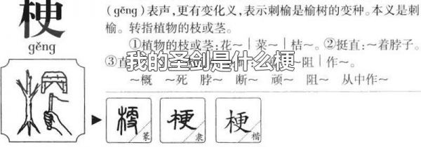 我的圣剑是什么梗