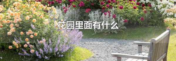 花园里面有什么