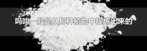 吗啡一般是从那种植物中提炼出来的